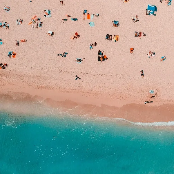 Choose Your Perfect Plan