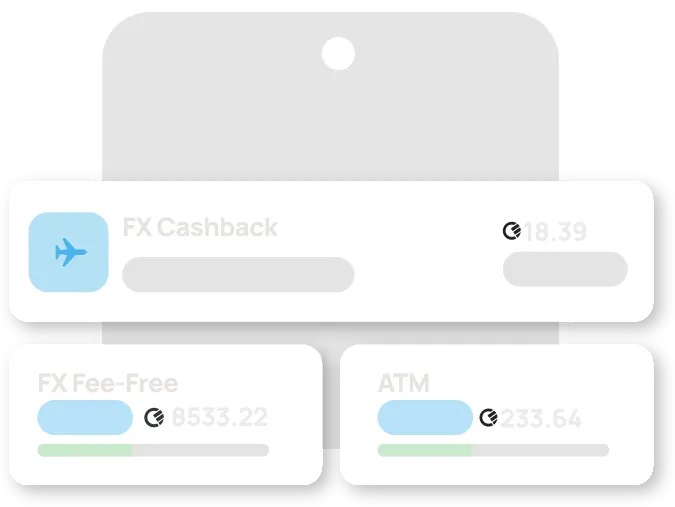 Benefits - Travel Card