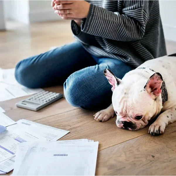 Save on Credit Card Interest